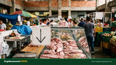El precio del cerdo cayó 26,5 % en Colombia y ya le gana el pulso a la carne de res