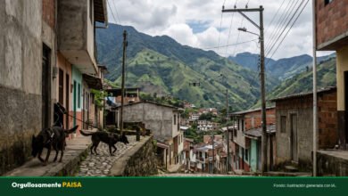 Con 10 drones buscan a Michelle Dayana en Buriticá: lleva 96 horas desaparecida y estafadores acosan a su familia