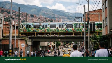 Medellín tiene más de 800 especies de fauna y el Metro puso a rodar dos trenes para que las conozcamos