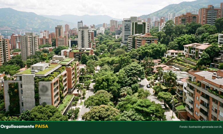 Medellín será sede de cumbre mundial sobre árboles urbanos en octubre